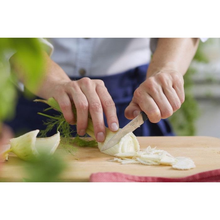 Ніж кухонний Opinel №312 Paring, синій 