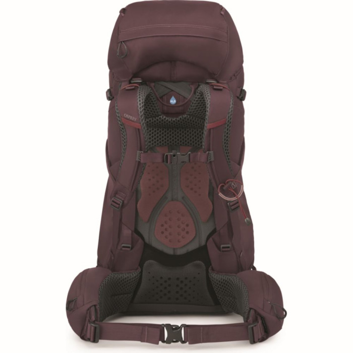 Рюкзак Osprey Kyte 58 л SAMPLE (SS23) elderberry purple - WM/L 