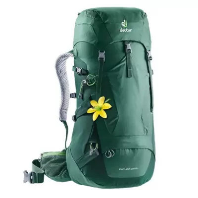 Рюкзак Deuter Futura 28 SL seagreen-forest