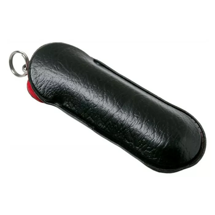 Складаний ніж Victorinox CLASSIC LE Eagle Flight 0.6223.L2102 