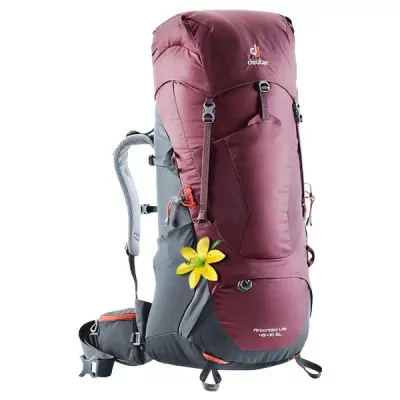 Рюкзак Deuter Aircontact Lite 45 + 10 SL maron-graphite