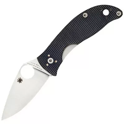 Ніж Spyderco Alcyone (C222GPGY)