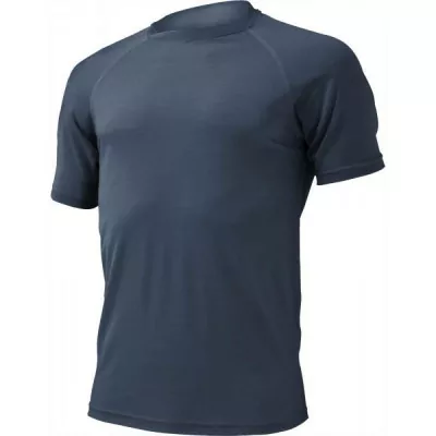 Термофутболка чоловіча Lasting QUIDO 5656 синя, XL