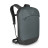 Рюкзак Osprey Transporter Panel 20 Pointbreak Grey