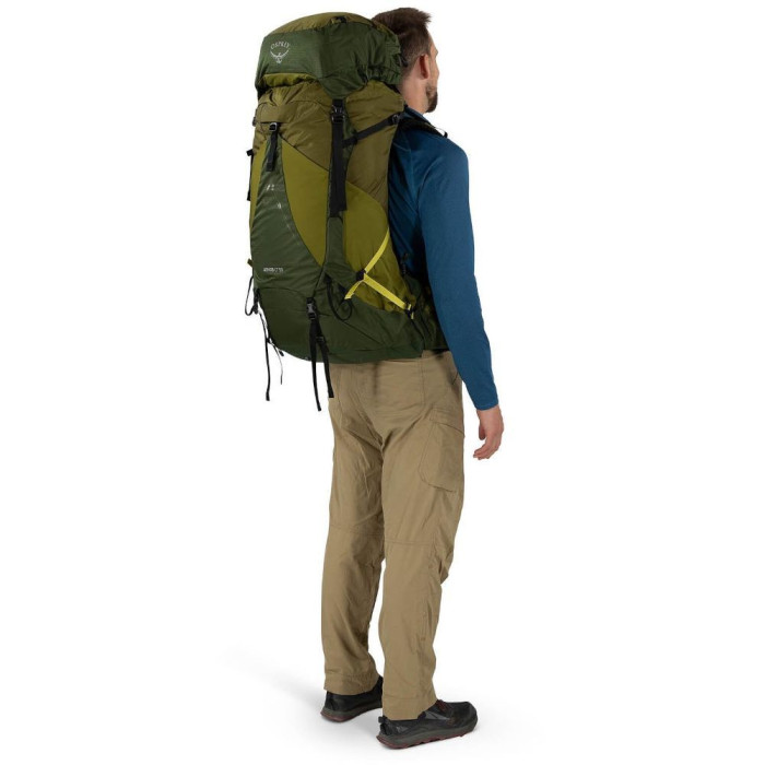 Рюкзак Osprey Atmos AG LT 50 scenic valley/green peppercorn - S/M - зелений 