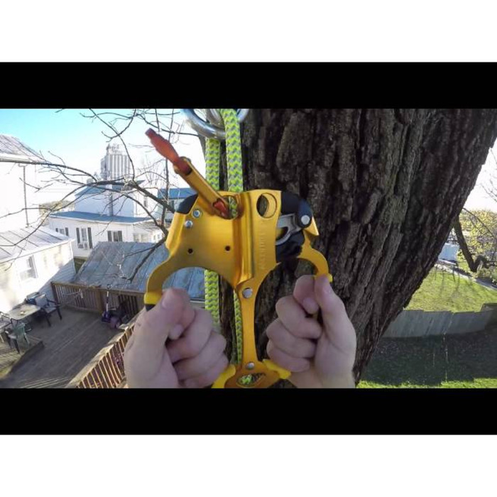 Затискач Petzl ASCENTREE 