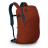 Рюкзак Osprey Apogee 28L Umber Orange