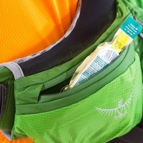 Рюкзак Osprey Atmos AG 50 Absinthe Green, розмір LG 