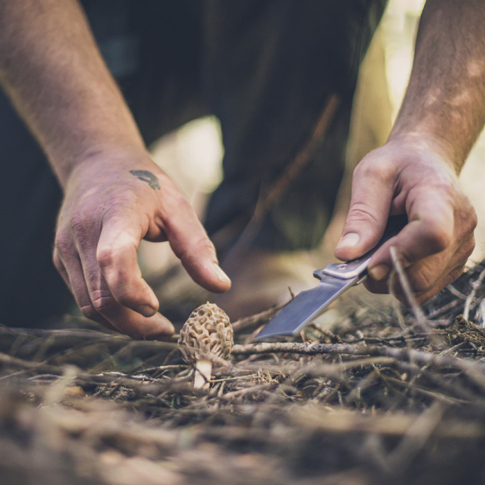 Ніж складаний Gerber Asada Folder Micarta (Зелений) 