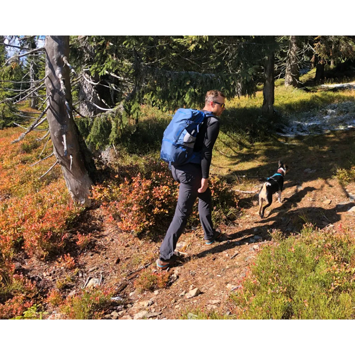 Рюкзак Pinguin Vector 35, Green (PNG 316148) 2020 