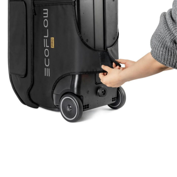 Сумка EcoFlow DELTA Pro Bag 