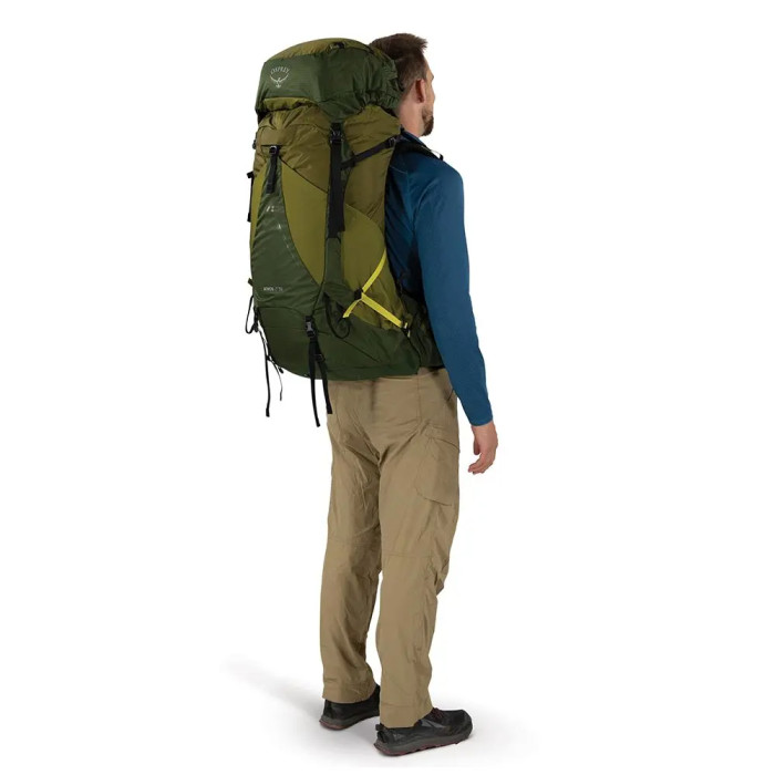 Рюкзак Osprey Atmos AG LT 50 scenic valley/green peppercorn - L/XL - зелений 