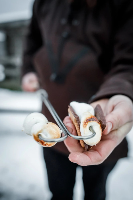 Набір шампурів загнутих Petromax Campfire Skewer LS2 (2 шт) 