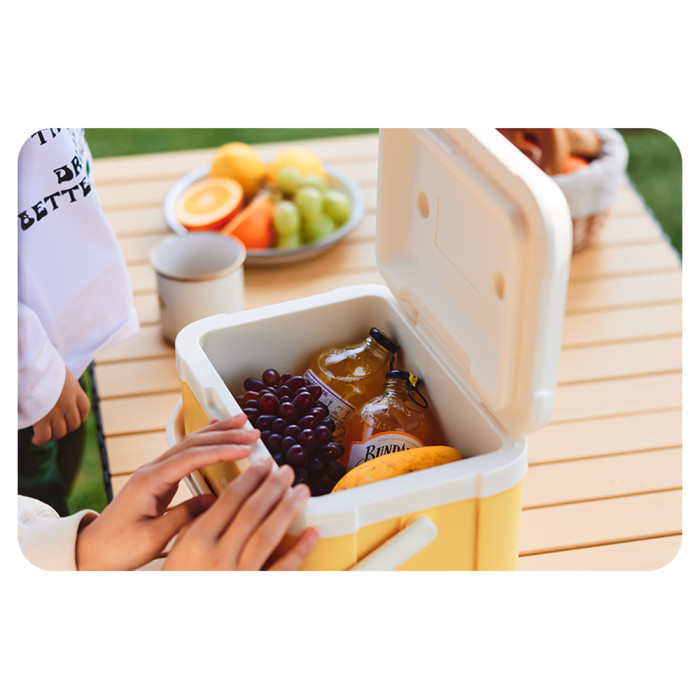 Туристичний холодильник Naturehike CNK2450CF012, 5 л, бежевий 