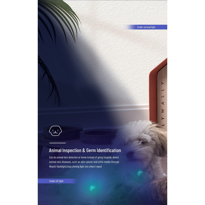 Ліхтар Wuben E19UV black 