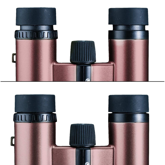 Бінокль Vanguard Vesta Compact 10x21 WP Рожеве золото (Vesta 1021 Rose) 