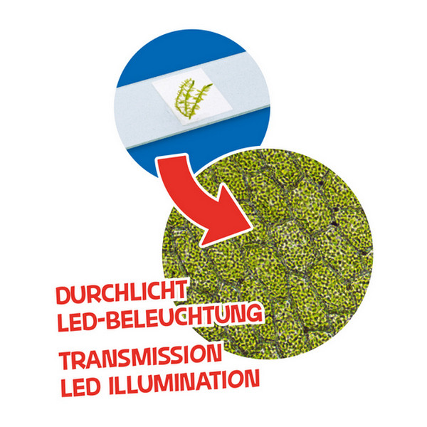 Мікроскоп Bresser Junior 40x-640x Orange (з кейсом) 