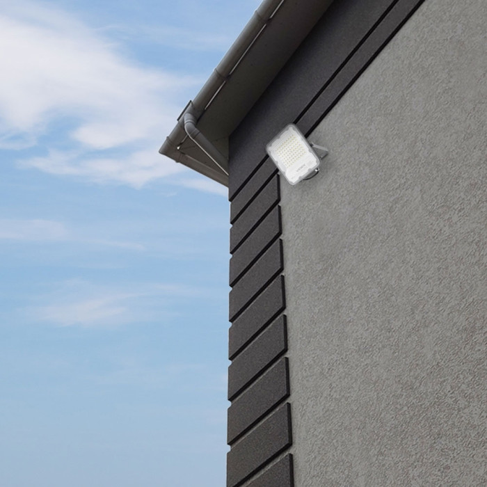 Прожектор VIDEX 50W 5000K 220V IP65 (VL-F2-505G) 