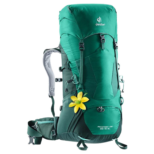 Рюкзак Deuter Aircontact Lite 35+10 SL alpinegreen-forest 