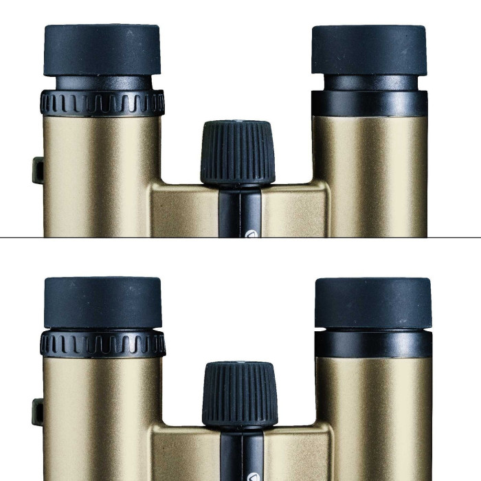 Бінокль Vanguard Vesta Compact 8x21 WP шампанське (Vesta 8210 Cham) 