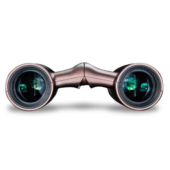 Бінокль Vanguard Vesta Compact 8x21 WP Рожеве золото (Vesta 8210 Rose) 