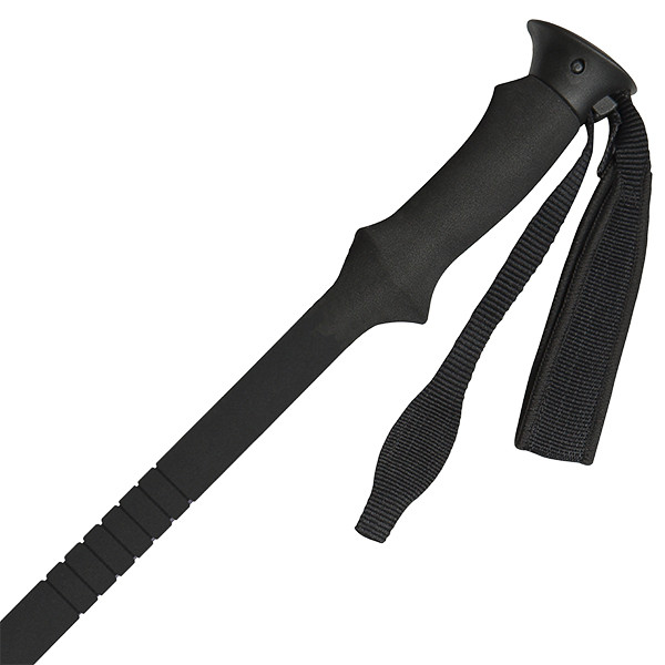 Трекінгові палиці Vipole Challenge AS Eva Long 