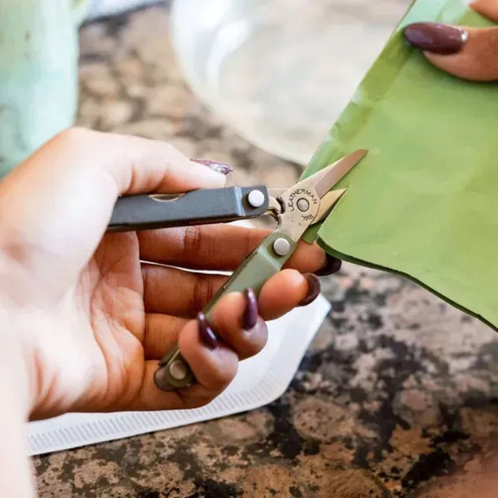 Мультиінструмент Leatherman Micra Spruce 