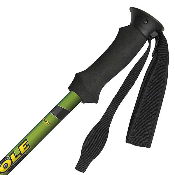 Трекінгові палиці Vipole Climber AS QL Eva Green 