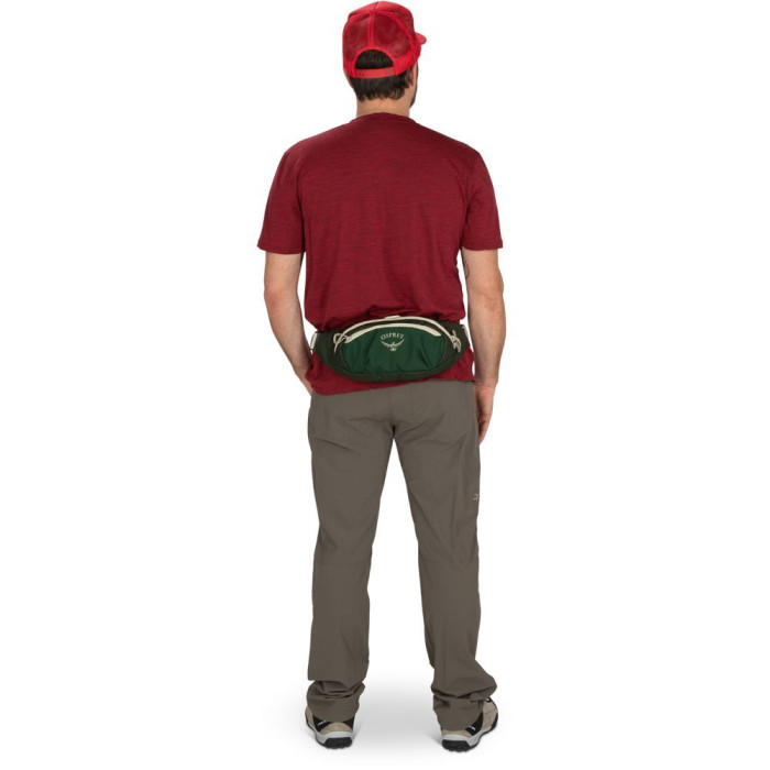 Поясна сумка Osprey Daylite Waist green belt/green canopy - O/S - зелений 
