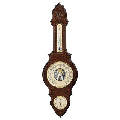 Метеостанція Moller (203023)