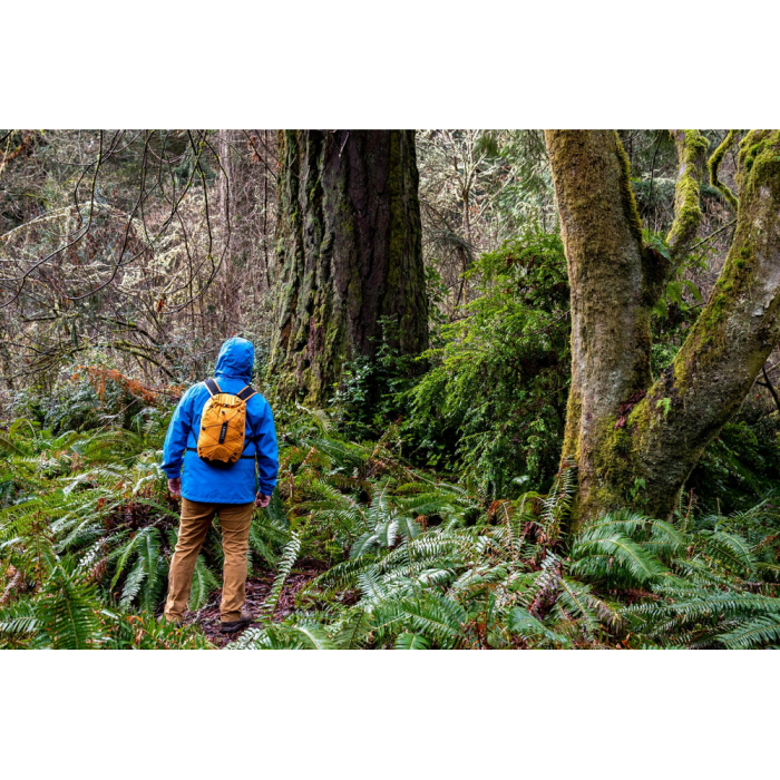 Рюкзак Exped CLOUDBURST 15 gold - жовтий 