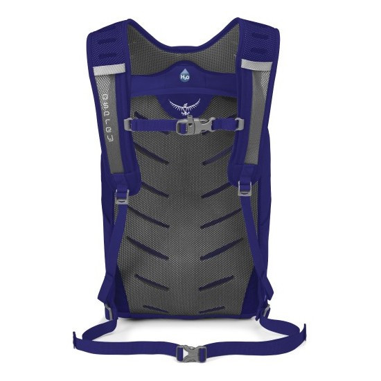 Рюкзак Osprey Daylite Plus 20, фіолетовий 