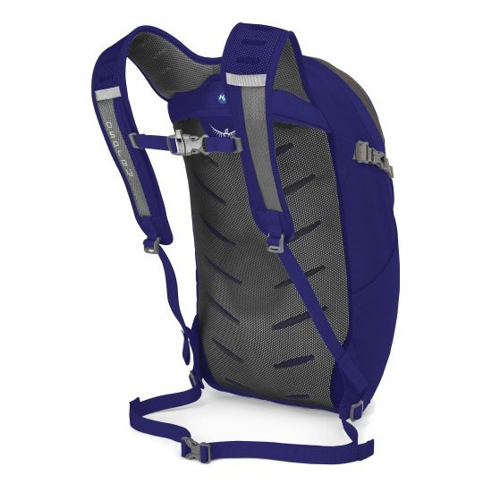 Рюкзак Osprey Daylite Plus 20, фіолетовий 