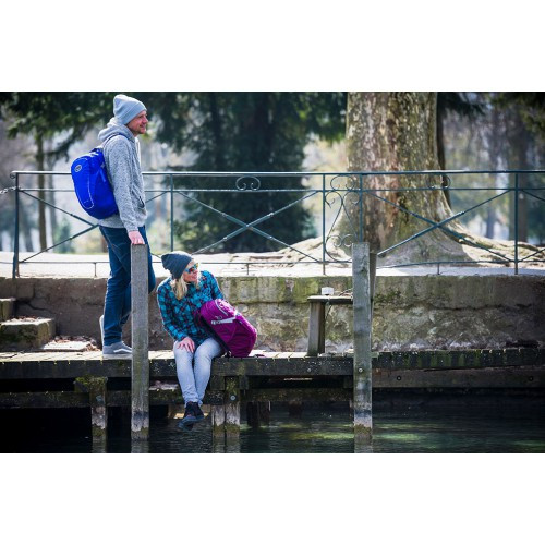 Рюкзак Osprey Daylite Plus 20, фіолетовий 