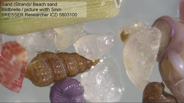 Мікроскоп Bresser Researcher ICD LED 20X-80x 