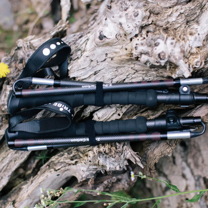 Трекінгові палиці Tribe Z-Pole Carbon T-ME-0025-plum
