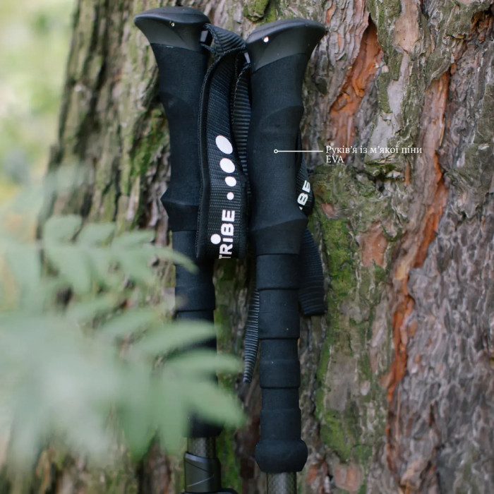 Трекінгові палиці Tribe Z-Pole Carbon T-ME-0025-plum