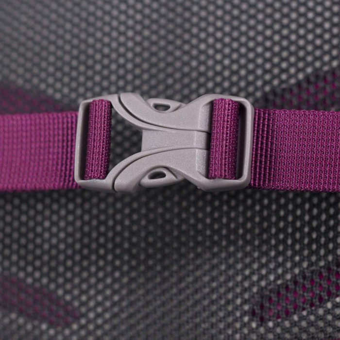 Рюкзак Osprey Daylite 13 Amulet Purple 