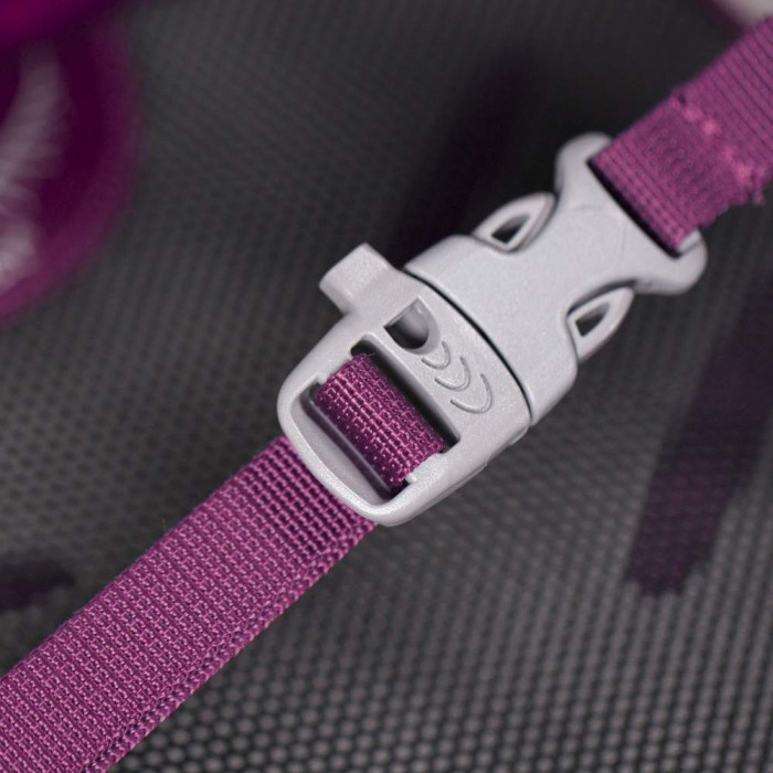 Рюкзак Osprey Daylite 13 Amulet Purple 