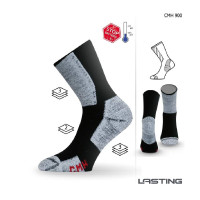 Термошкарпетки для трекінгу Lasting CMH 901 s сірі (002.003.3945)
