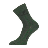 Шкарпетки Lasting WLS 620, зелені, S