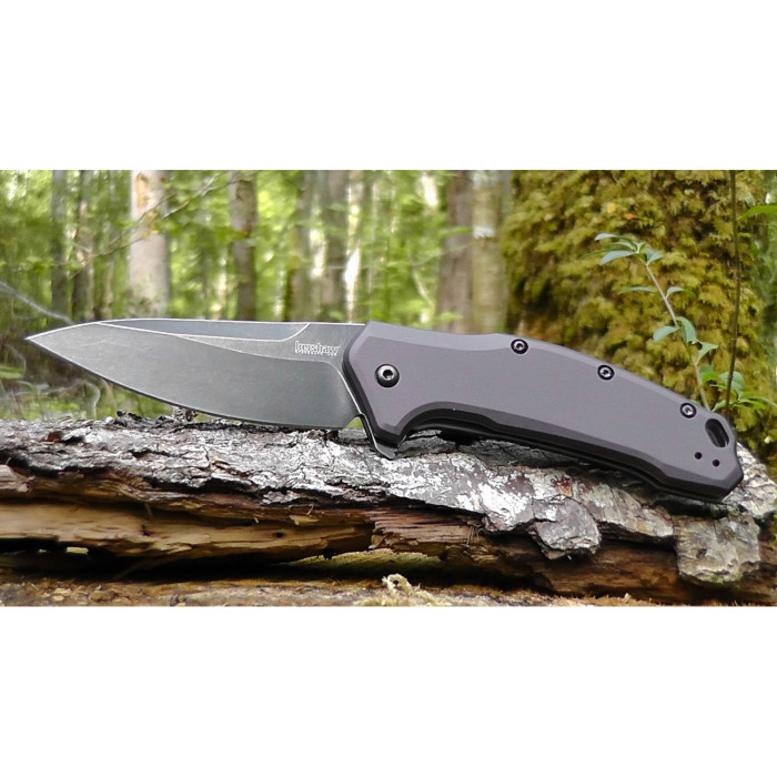 Ніж чорна мийка з сірого алюмінію Kershaw Link (1776grybw) 