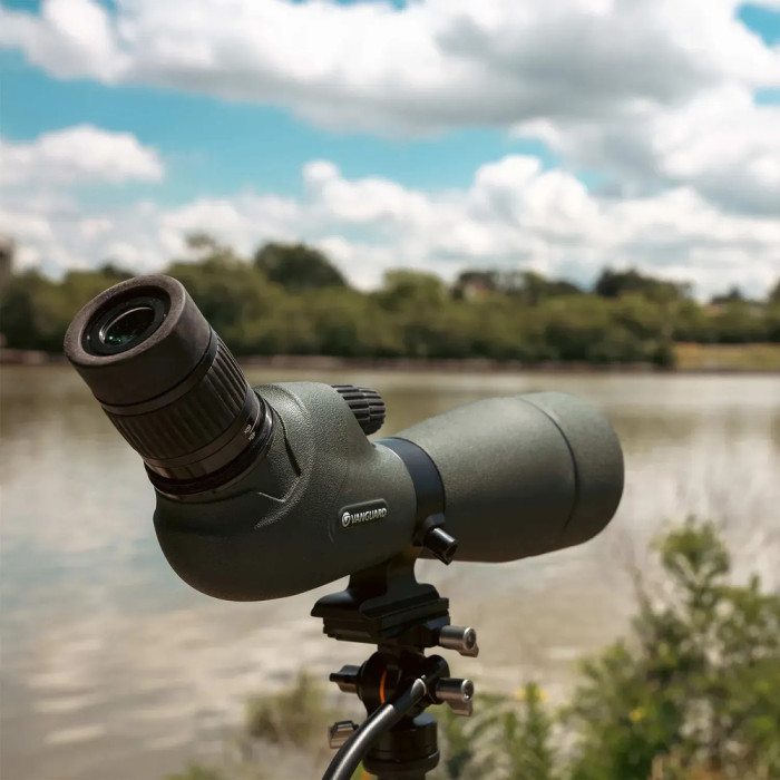 Штатив Vanguard Vesta Go 264CV12 (Vesta Go 264CV12) 