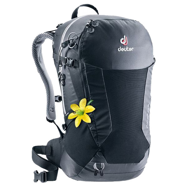Рюкзак Deuter Futura 22 SL black 