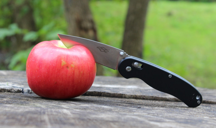 Ніж складаний Firebird by Ganzo FB727S (Чорний) 