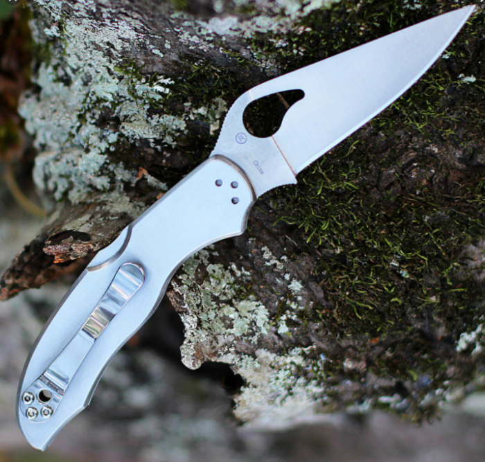 Ніж Spyderco Byrd Harrier 2 (BY01P2) 