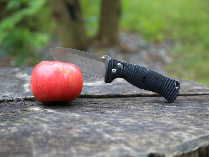 Ніж складаний Ganzo G720-B чорний 