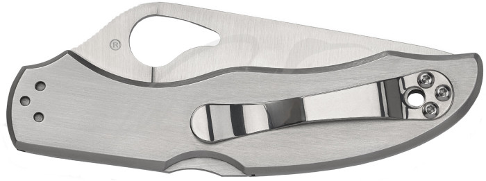 Ніж Spyderco Byrd Harrier 2, серрейтор (BY01PS2) 