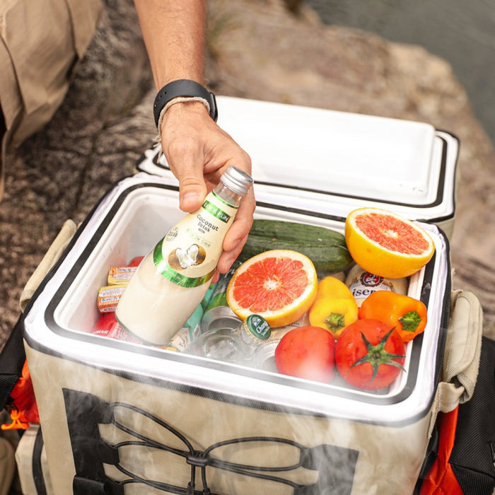 Акумуляторний холодильник-рюкзак Litheli 16л, живлення від павербанку (УМБ Litheli Power Bank 20000 mAh, 45 W в комплекті) 