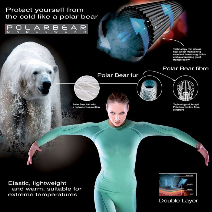 Футболка жіноча сорочка з довгим рукавом Accapi Polar Bear 934 чорний /цикламен  